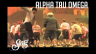 ATO Sing Highlights